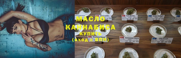 СК Инта