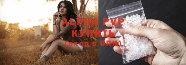 СК Инта