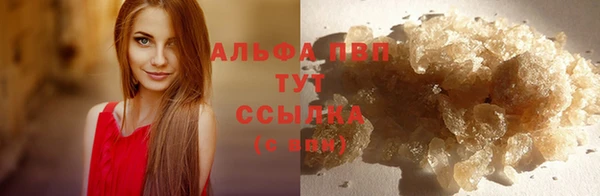 СК Инта