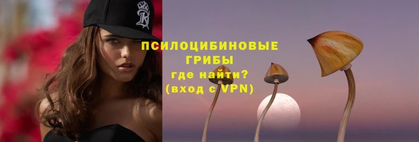 СК Инта