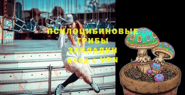 круглые Инсар
