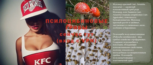 круглые Инсар