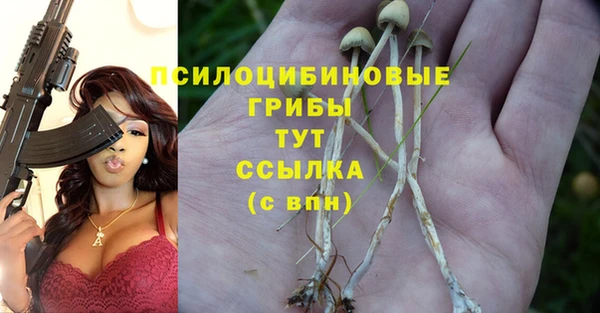 СК Инта
